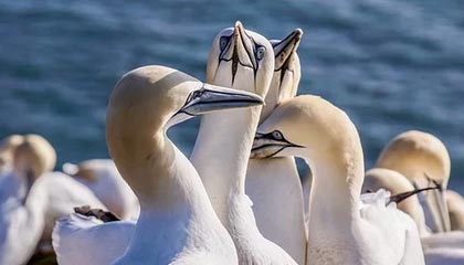 诸暨高价上海医保提取2025的最新政策(2025年诸暨上海医保怎么提取现金分享)