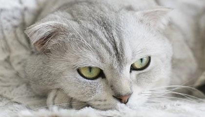 诸暨高价上海医保提取2025的最新政策(2025年诸暨上海医保怎么提取现金分享)