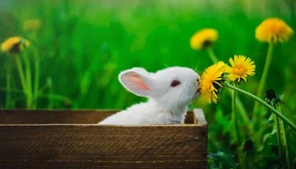 诸暨高价上海医保提取2025的最新政策(2025年诸暨上海医保怎么提取现金分享)